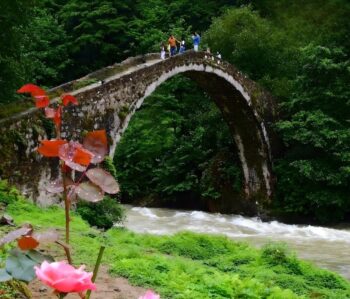 جسر عثماني قديم وسط الطبيعة الخضراء في ريزا شمال تركيا