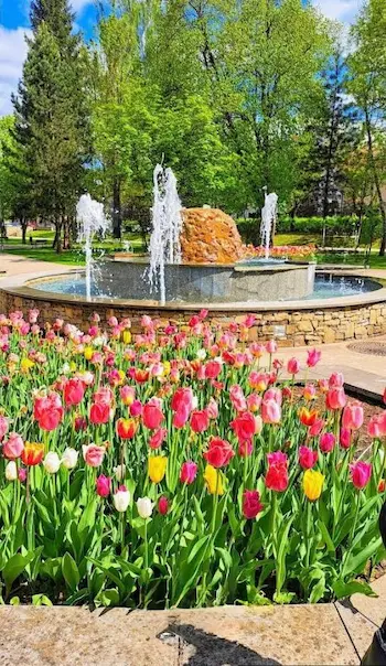 عائلة تتمشى داخل حديقة هادئة