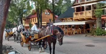 أفضل الأنشطة العائلية في زاكوباني ممشى زاكوباني