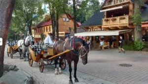 أفضل الأنشطة العائلية في زاكوباني للكبار والصغار