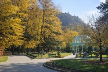 حديقة في تبليسي خلال فصل الخريف في جورجيا – ألوان الأشجار الصفراء وأجواء معتدلة مناسبة للسياحة