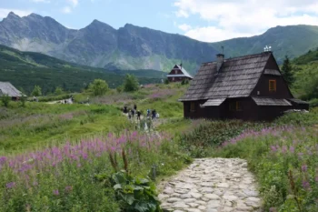 أفضل وقت لزيارة بولندا خلال الربيع – مروج خضراء وزهور برية في جبال تاترا