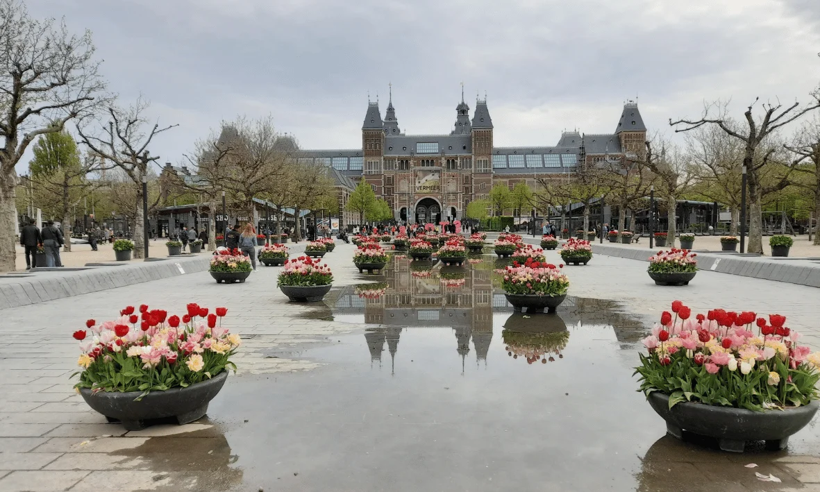 الطقس في هولندا عبر المواسم مع متحف رايكس في أمستردام وزهور التوليب في أجواء معتدلة