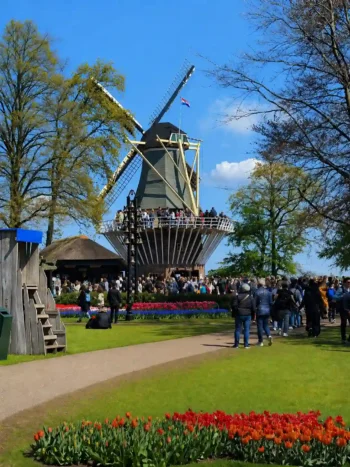 ازدحام الزوار في حديقة كيوكنهوف خلال موسم التوليب في هولندا